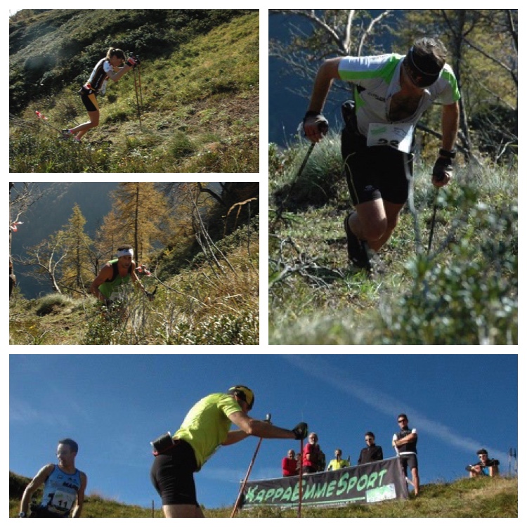 vertical valgoglio collage 2014